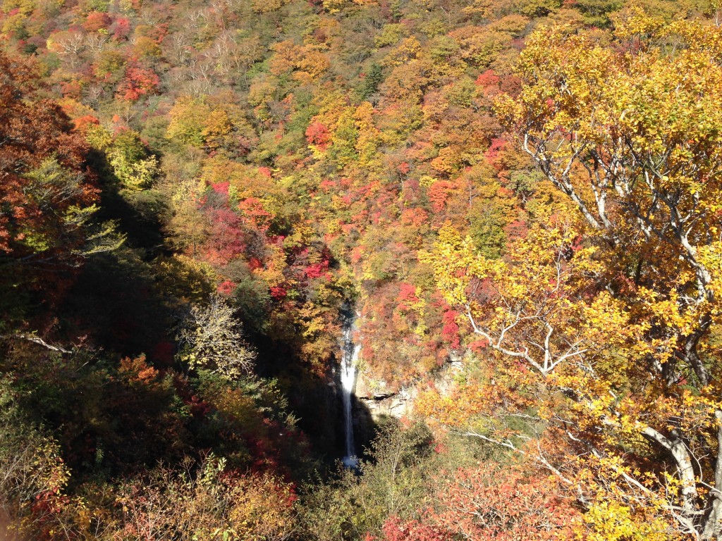 栃木　那須　駒止の滝　こまどめのたき　紅葉