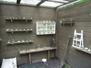 那須苔屋こけや小さな緑のインテリア