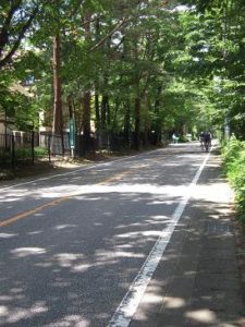那須高原ロングライド2011