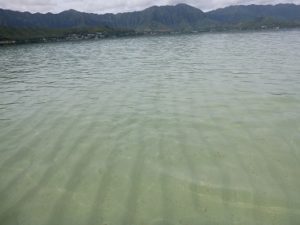 ハワイ サンドバー